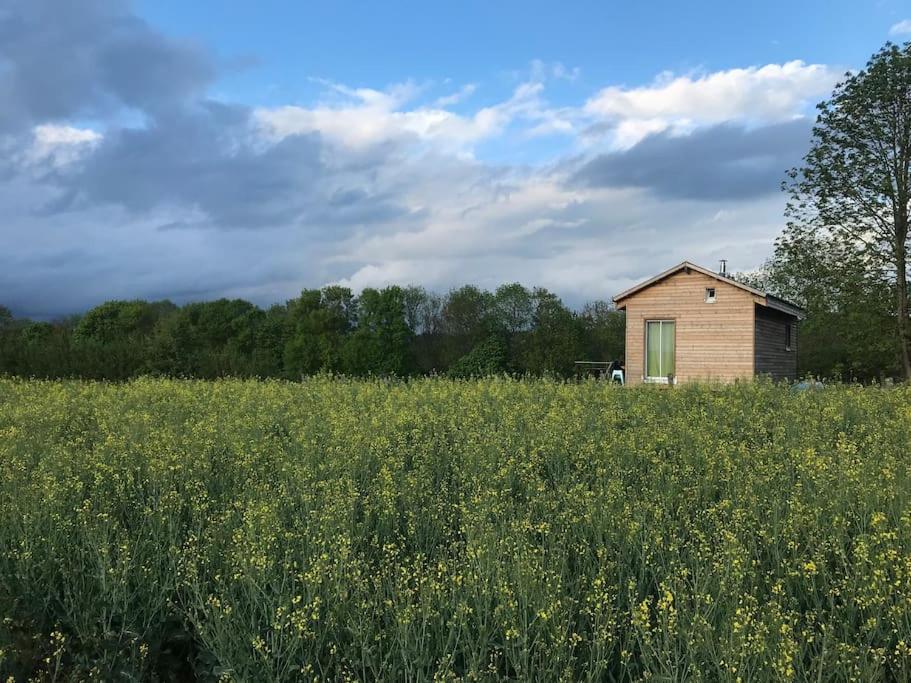 Maison En Bois Dans Un Pre * Nuits